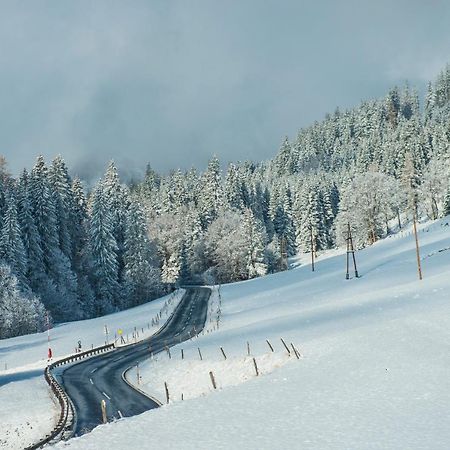 Vila Ferienbauernhof Elmaugut Mühlbach am Hochkönig Exteriér fotografie