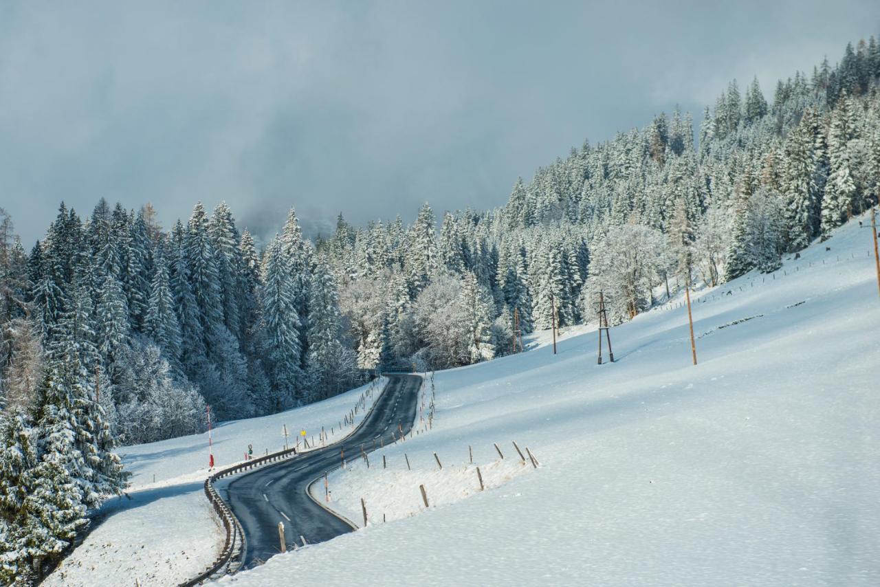 Vila Ferienbauernhof Elmaugut Mühlbach am Hochkönig Exteriér fotografie