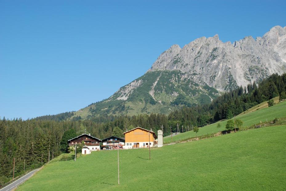 Vila Ferienbauernhof Elmaugut Mühlbach am Hochkönig Exteriér fotografie