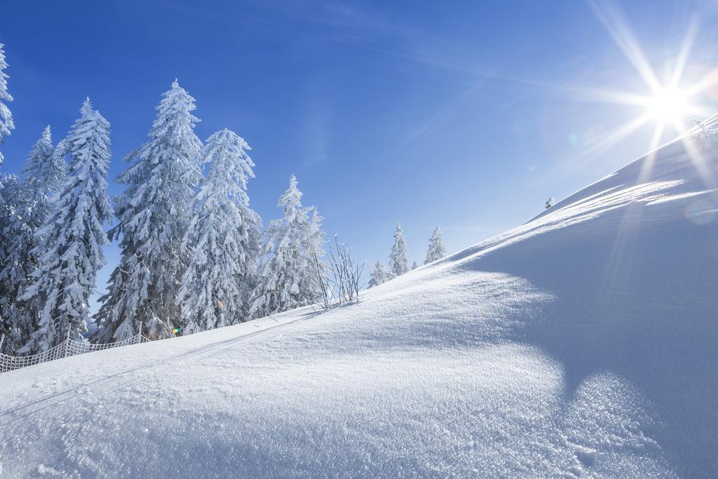 Vila Ferienbauernhof Elmaugut Mühlbach am Hochkönig Exteriér fotografie